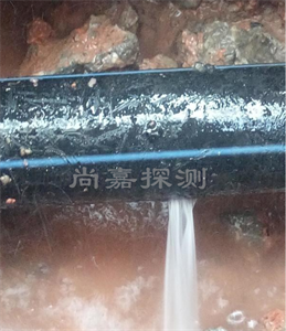 襄城消防管道漏点探测