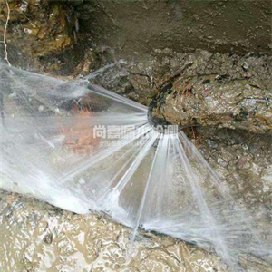 襄城自来水管道漏点检测